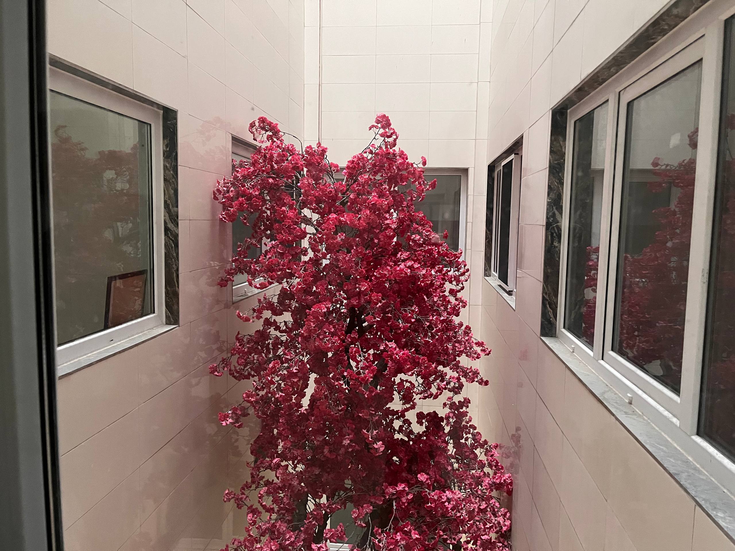 بالن‌ها